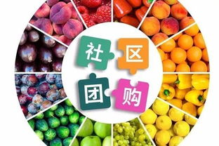 紹興市社群、社區(qū)團購，實現(xiàn)快速裂變增長