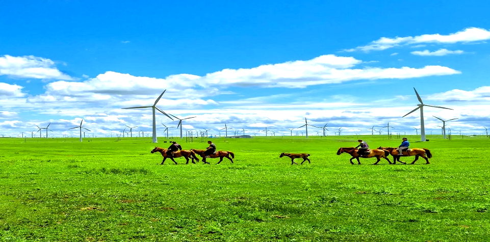 2022年中儀宇盛旅游式團建【相約多倫?煥心出發】(圖1) 2022年中儀宇盛旅游式團建【相約多倫?煥心出發】(圖1)